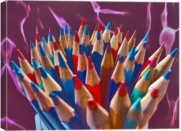 Bush from Color Pencils Canvas Print by Ferenc Kalmar