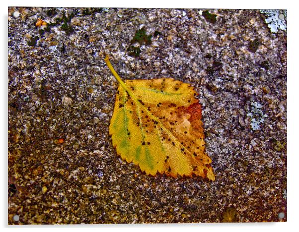 Golden Leaf Acrylic by Luis Lajas