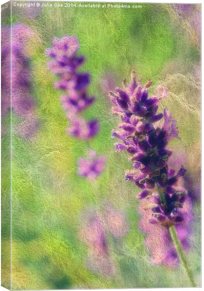 Soft Lavender Canvas Print by Julie Coe