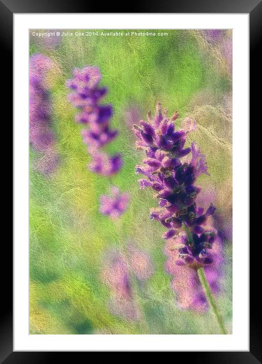 Soft Lavender Framed Mounted Print by Julie Coe