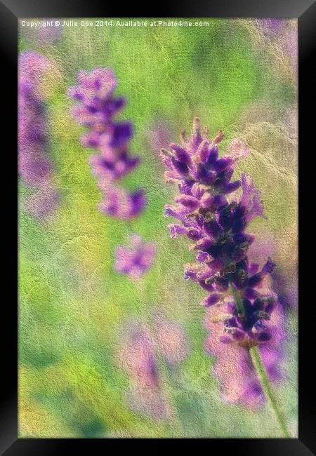 Soft Lavender Framed Print by Julie Coe