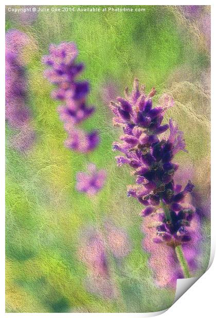 Soft Lavender Print by Julie Coe