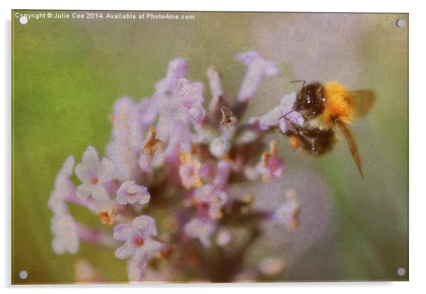 Pink Lavender Bee Acrylic by Julie Coe