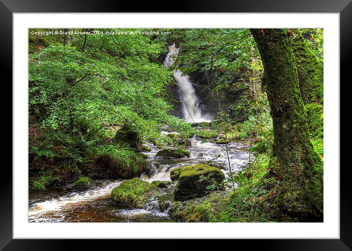 Dolgoch Falls Wales Framed Mounted Print by Diana Mower