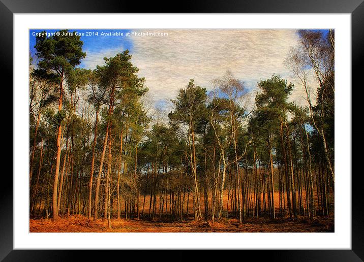 Tree Surrounds Framed Mounted Print by Julie Coe