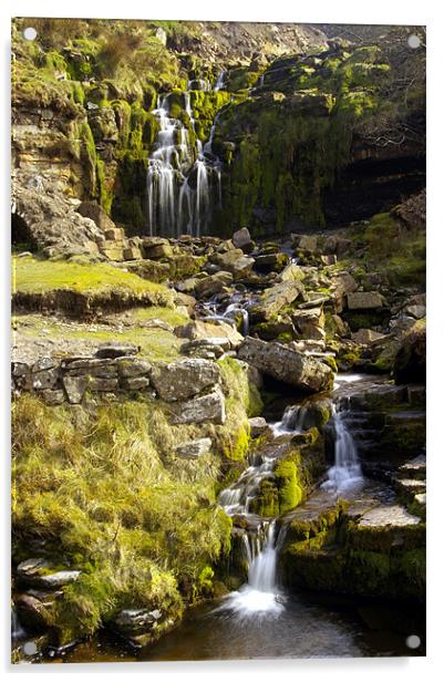 Waterfall  Acrylic by David Borrill