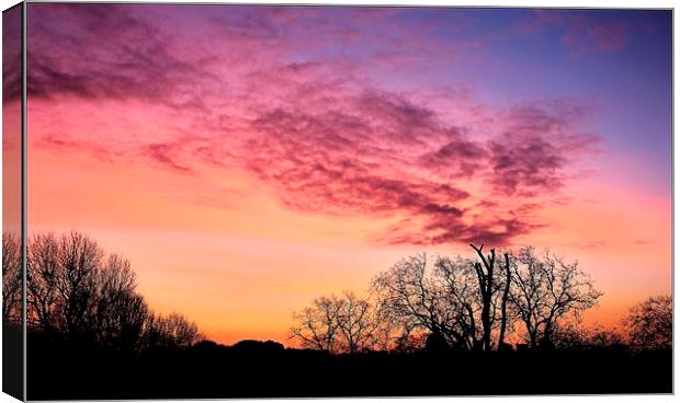 Red Sky In The Morning Canvas Print by Robert Cane
