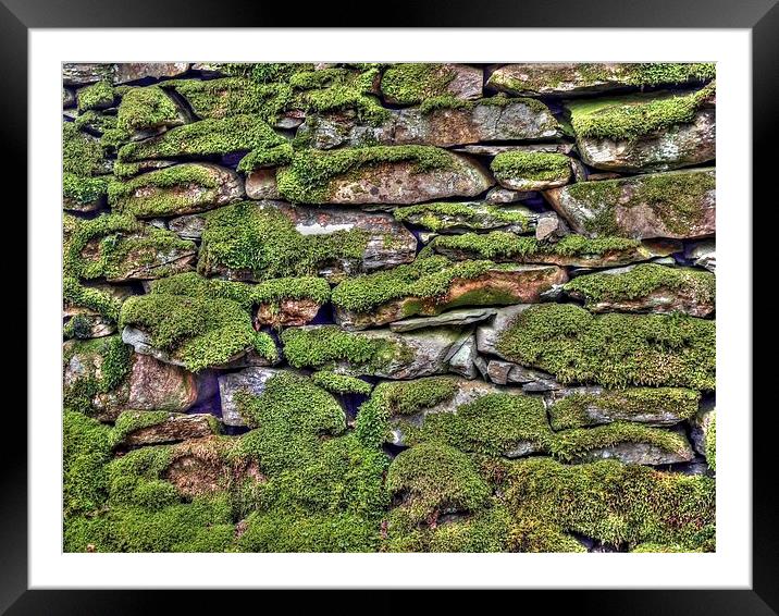 Dry Stone Wall Framed Mounted Print by Andy Huntley