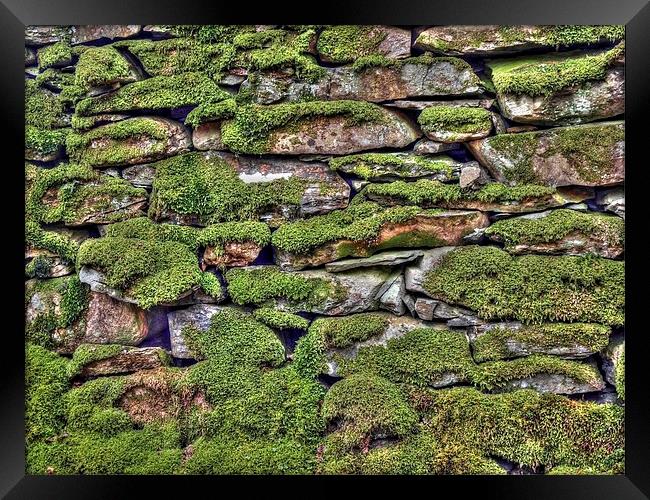 Dry Stone Wall Framed Print by Andy Huntley