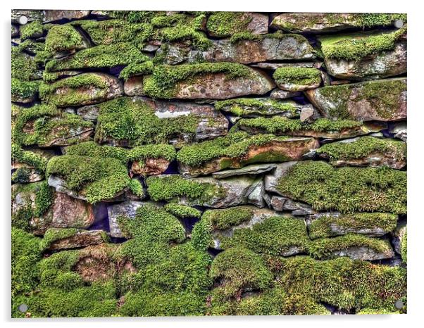 Dry Stone Wall Acrylic by Andy Huntley