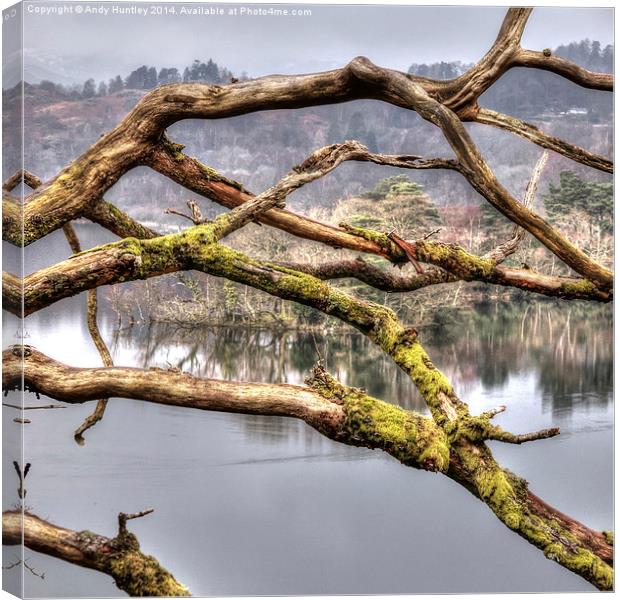 Branches over Lake Canvas Print by Andy Huntley