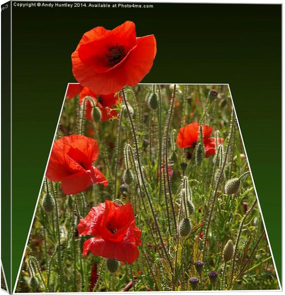 Pop Up Poppy Canvas Print by Andy Huntley