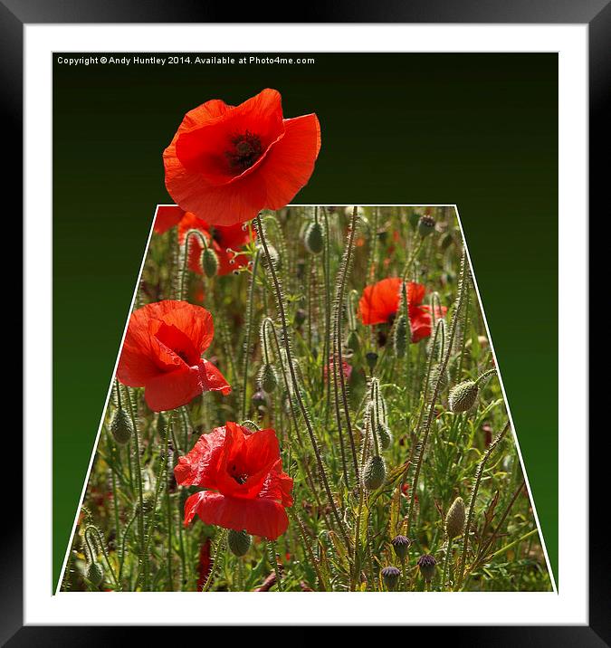 Pop Up Poppy Framed Mounted Print by Andy Huntley