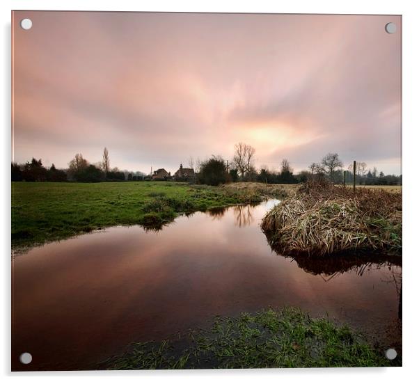 Tidmarsh and Sulham meadows Acrylic by Tony Bates