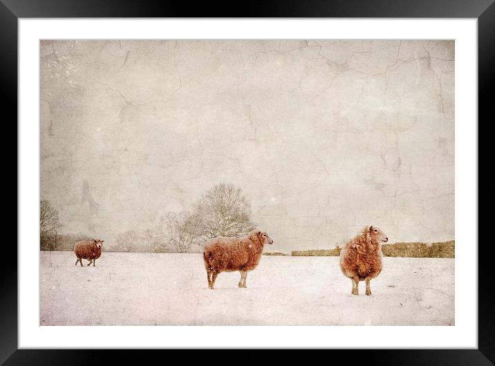 Twos Company Framed Mounted Print by Dawn Cox