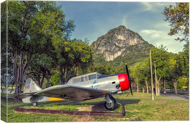 Wing 5 Thailand Canvas Print by Adrian Evans