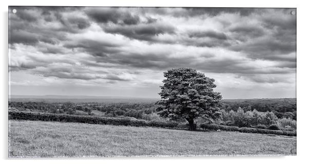 Oak Tree Richmond North Yorkshire Acrylic by Greg Marshall