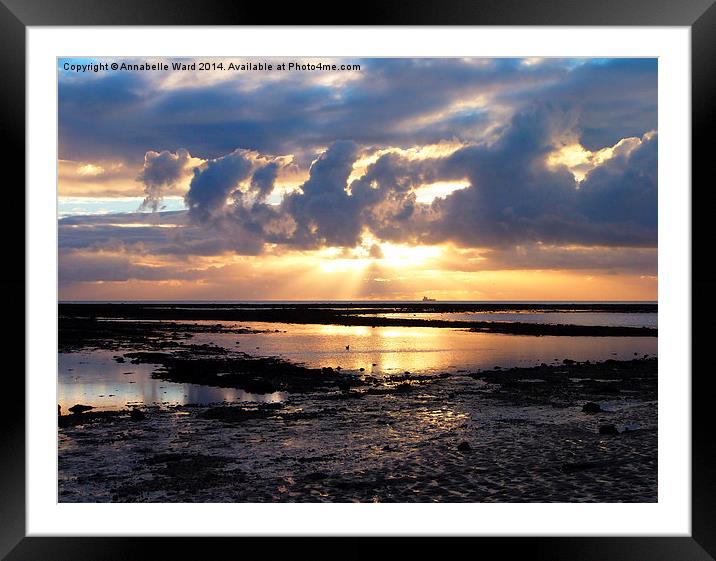 Solent Sunrise Framed Mounted Print by Annabelle Ward