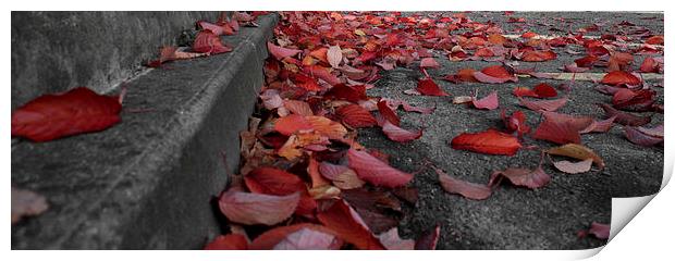 Autumn Leaves Print by Paul Austen