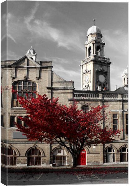 Red Tree Canvas Print by Paul Austen
