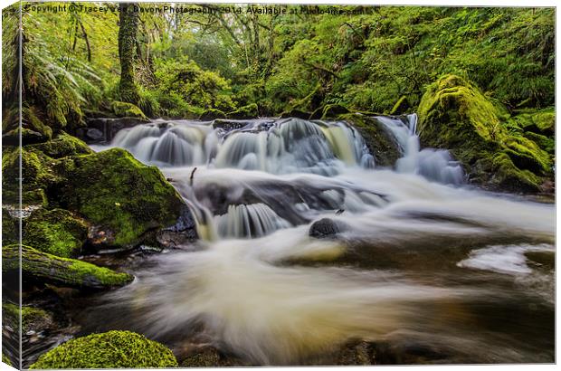 Golitha Falls Canvas Print by Tracey Yeo