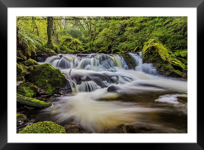 Golitha Falls Framed Mounted Print by Tracey Yeo