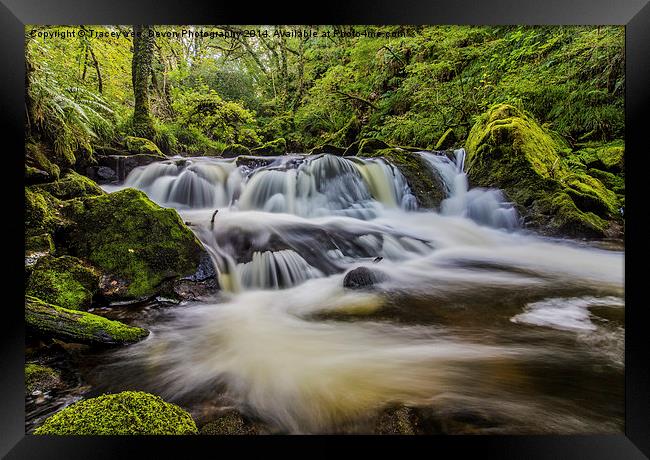 Golitha Falls Framed Print by Tracey Yeo