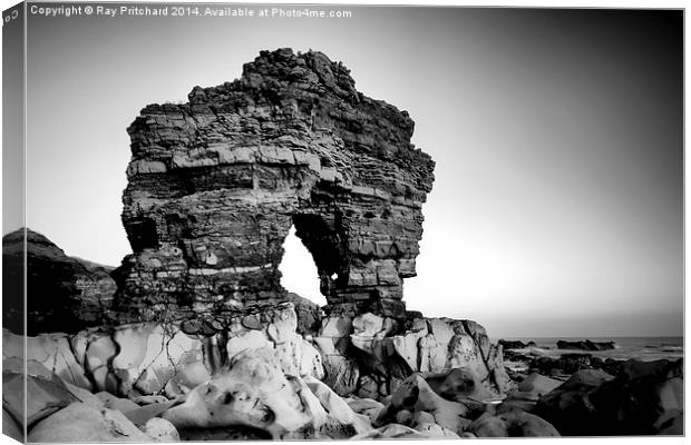 Rock Arch at Whitburn Point Canvas Print by Ray Pritchard