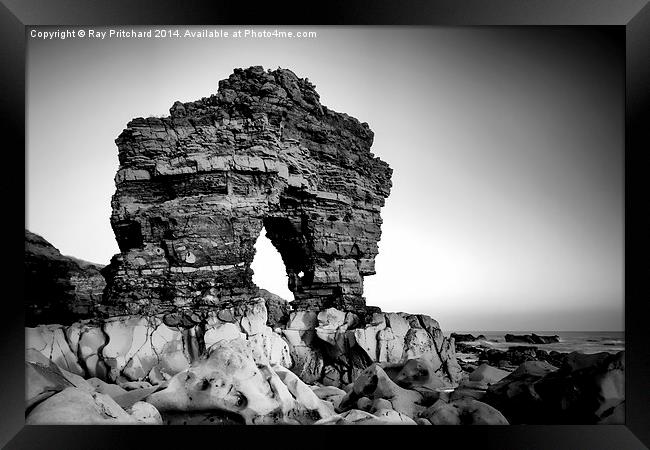 Rock Arch at Whitburn Point Framed Print by Ray Pritchard