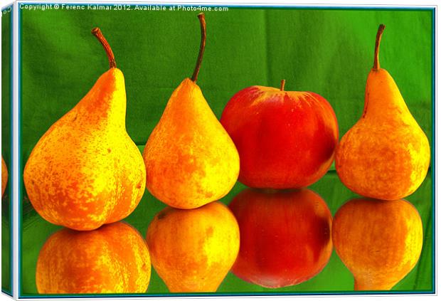 fruits4You Canvas Print by Ferenc Kalmar