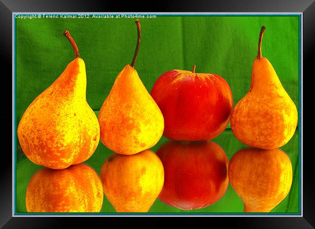fruits4You Framed Print by Ferenc Kalmar