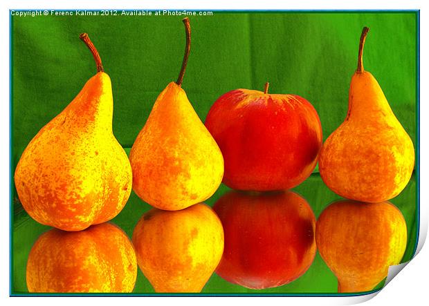 fruits4You Print by Ferenc Kalmar