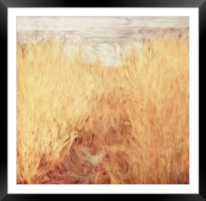 Hiding Framed Mounted Print by Dawn Cox