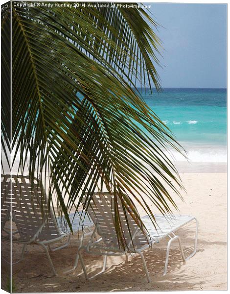 Sunbeds in Barbados Canvas Print by Andy Huntley