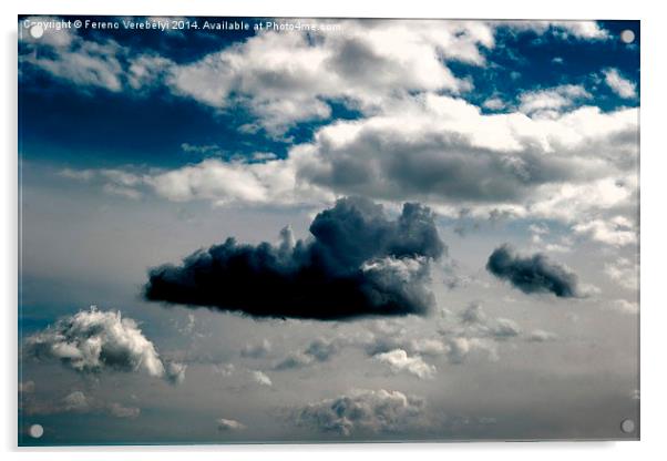 Dog on the sky   Acrylic by Ferenc Verebélyi