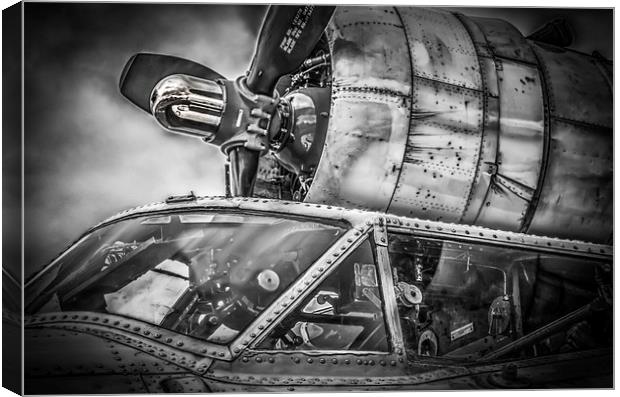 Catalina PBY-5A "Miss Pick Up" Cockpit Canvas Print by Gareth Burge Photography