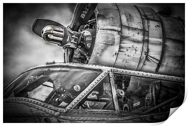 Catalina PBY-5A "Miss Pick Up" Cockpit Print by Gareth Burge Photography