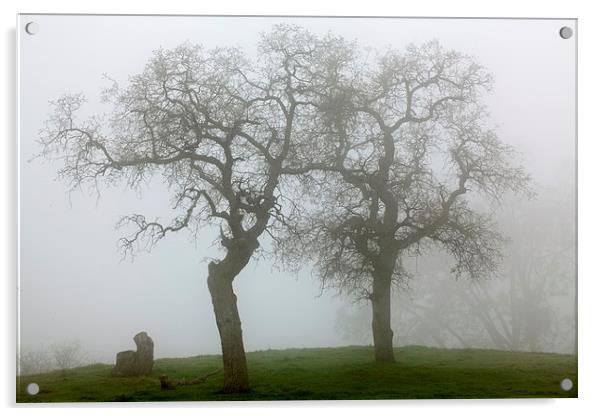 Dancing Oaks In Fog - Central California Acrylic by Ram Vasudev