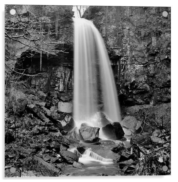 Melincourt Falls Acrylic by Paula J James