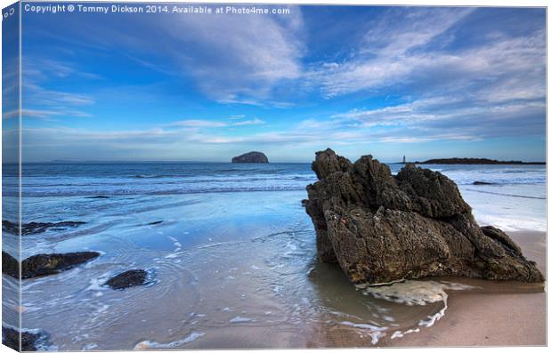 Seascape at Seacliff Beach.  Canvas Print by Tommy Dickson