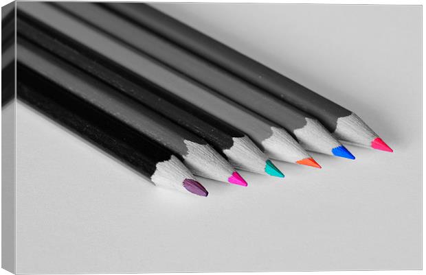 Pencils Canvas Print by Jason Moss