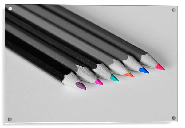 Pencils Acrylic by Jason Moss