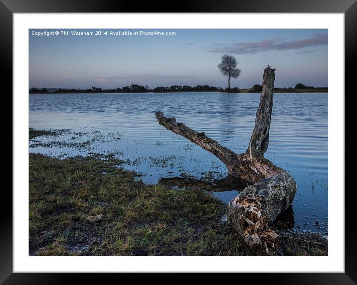 Pond Tree and Branch Framed Mounted Print by Phil Wareham