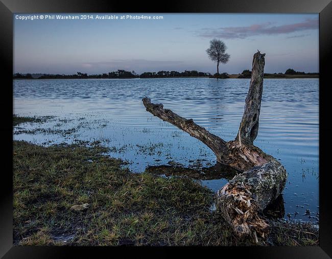 Pond Tree and Branch Framed Print by Phil Wareham