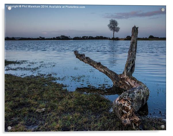 Pond Tree and Branch Acrylic by Phil Wareham