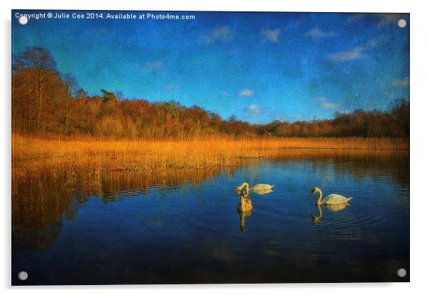 Swans At Selbrigg 2 Acrylic by Julie Coe