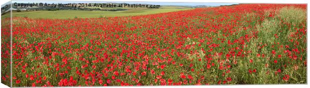 Poppy Panorama Canvas Print by Andy Huntley