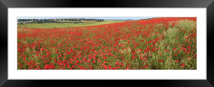Poppy Panorama Framed Mounted Print by Andy Huntley
