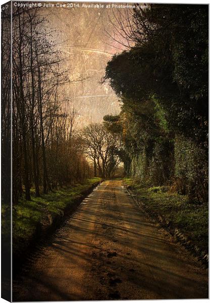 Pond Hills Road 2 Canvas Print by Julie Coe