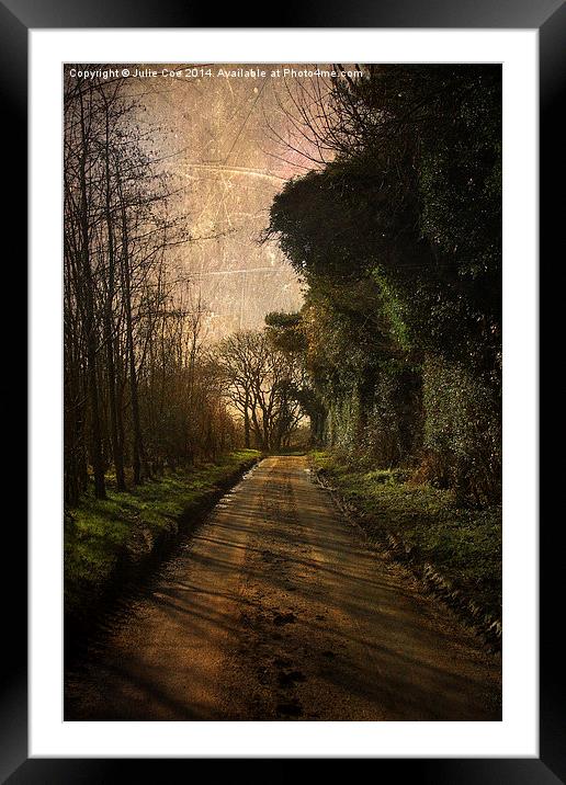 Pond Hills Road 2 Framed Mounted Print by Julie Coe